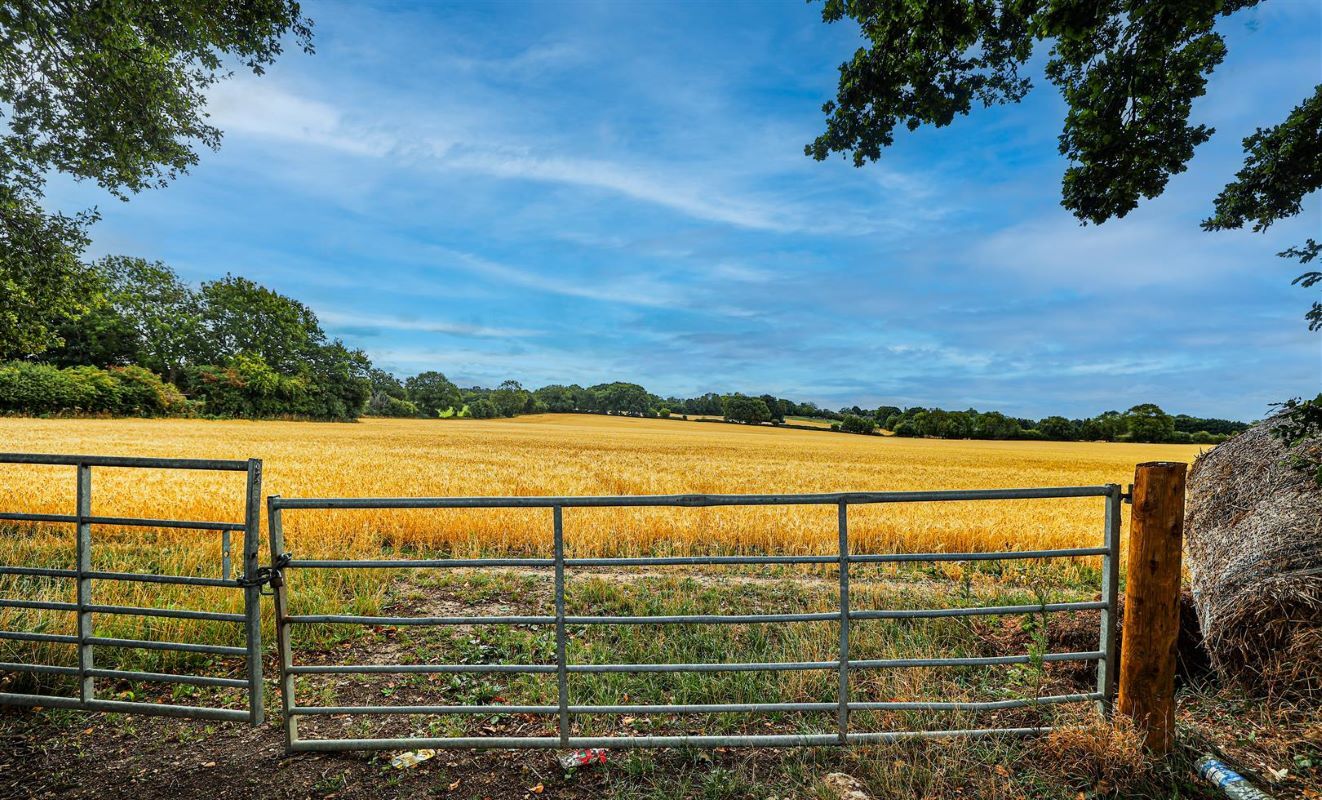 203 Toms Ln, Kings Langley à vendre Photo principale– Image 1 sur 5