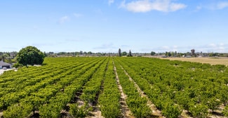 Plus de détails pour Hanford Armona, Lemoore, CA - Terrain à vendre