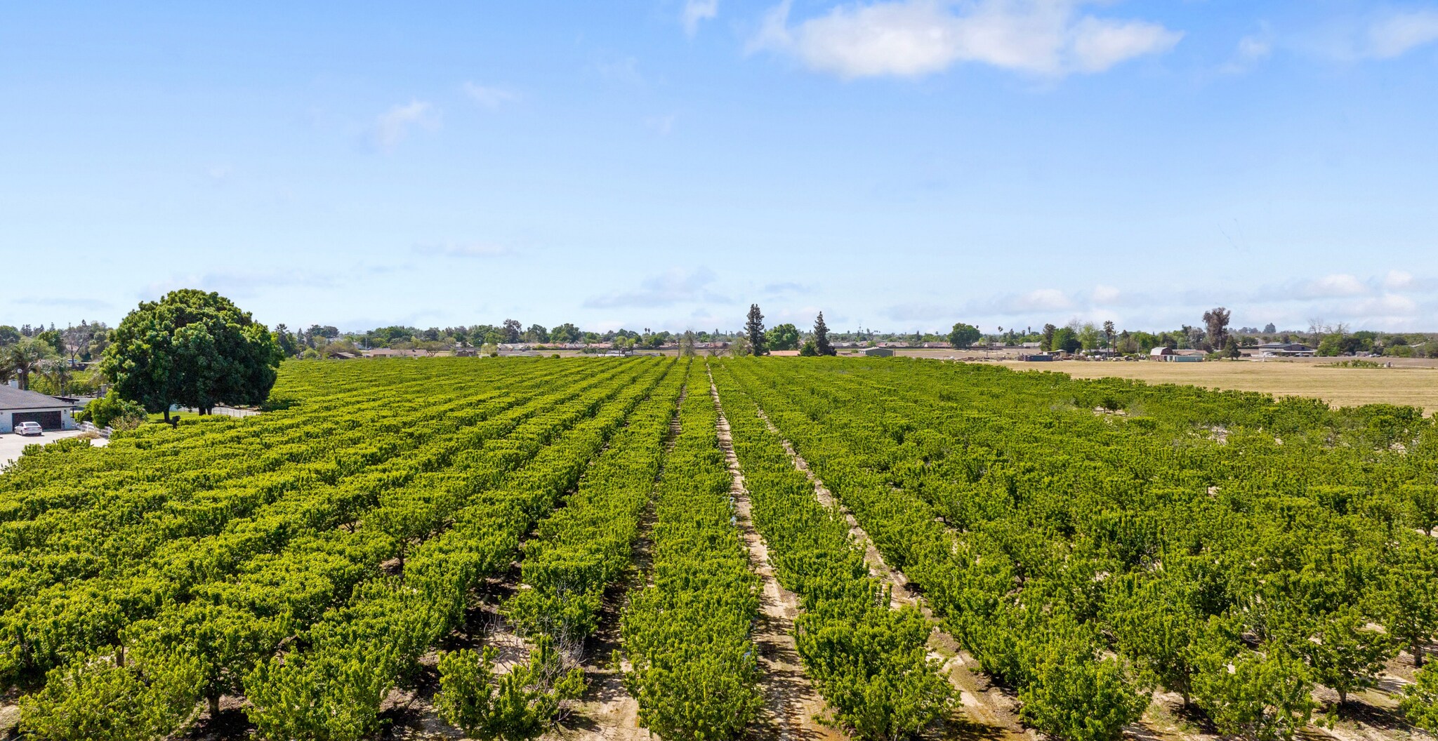 Hanford Armona, Lemoore, CA à vendre Photo principale– Image 1 sur 2
