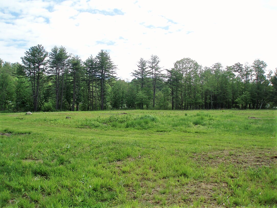 View Photo