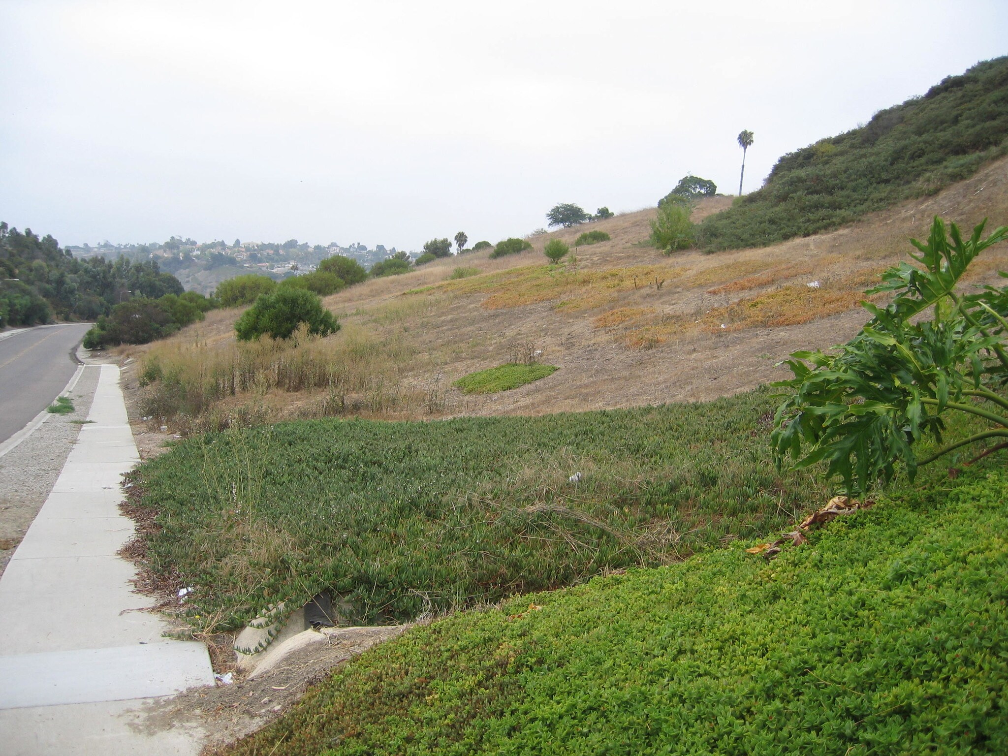 Fowles St, Oceanside, CA à vendre Photo principale– Image 1 sur 6