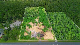 Plus de détails pour 10951 Sr 40, Silver Springs, FL - Terrain à vendre