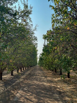 Plus de détails pour Bear Mountain Blvd., Arvin, CA - Terrain à vendre