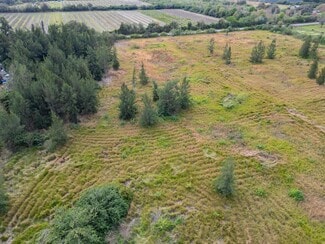 Plus de détails pour 5441 Janes Dr, Wimauma, FL - Terrain à vendre
