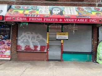Plus de détails pour 584-592 Albany Ave, Brooklyn, NY - Local commercial à louer