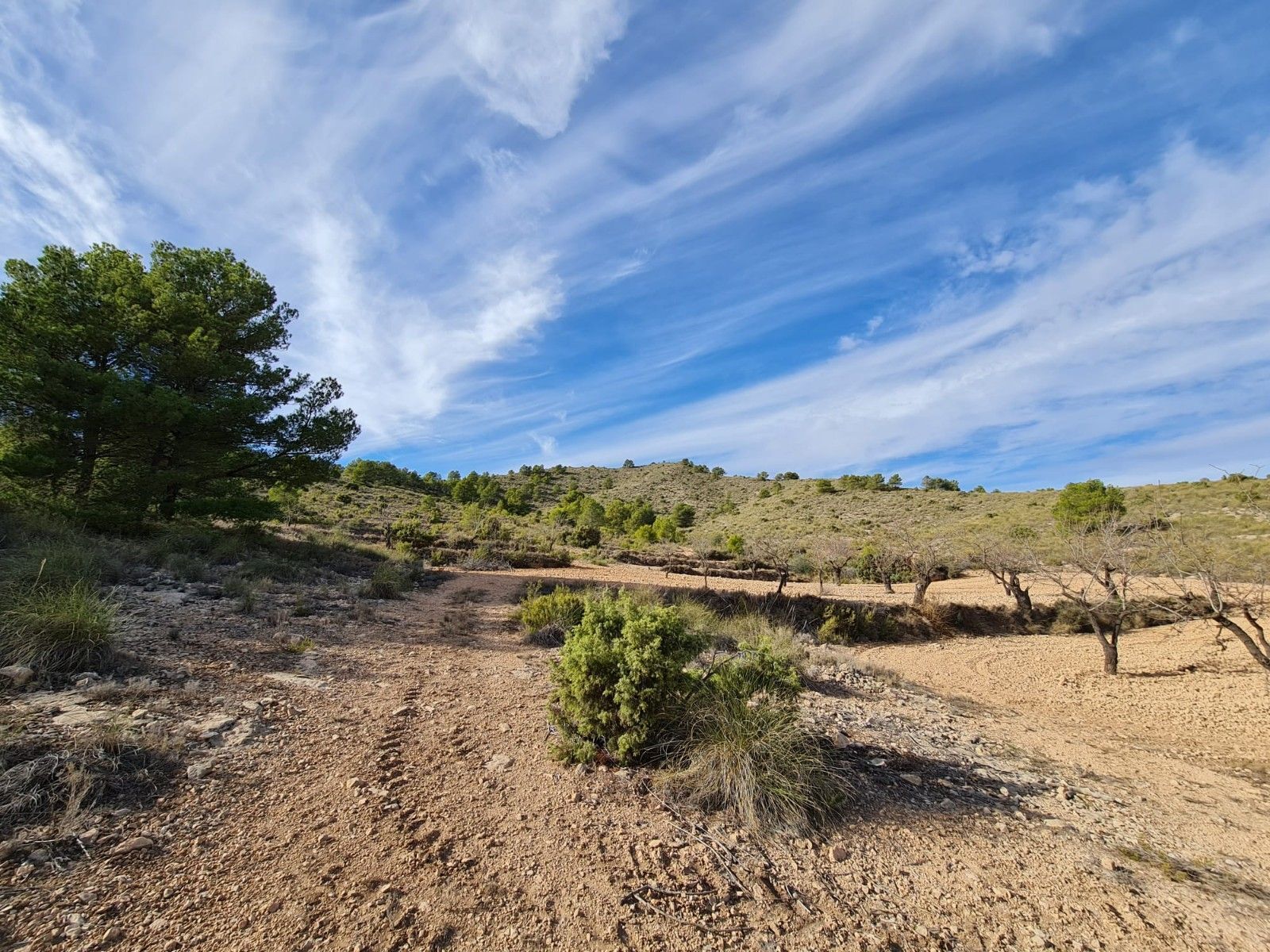 Terrain dans Yecla, Murcia à vendre Aérien– Image 1 sur 11