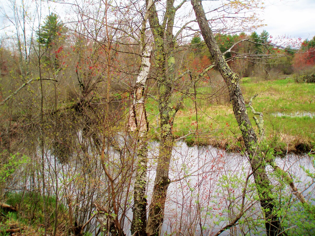 View Photo