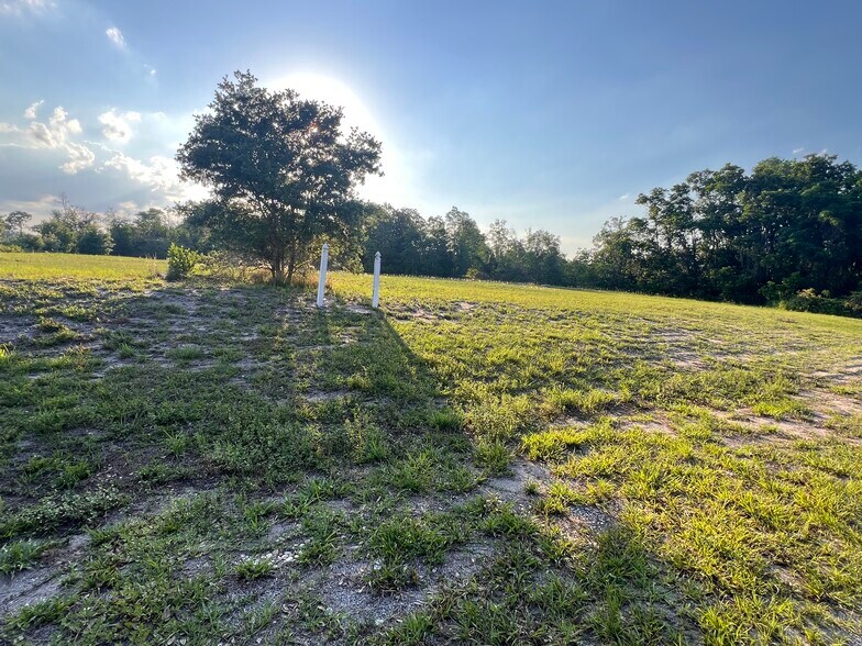 7513 S George Blvd, Sebring, FL à vendre - Photo de l’immeuble – Image 3 sur 13
