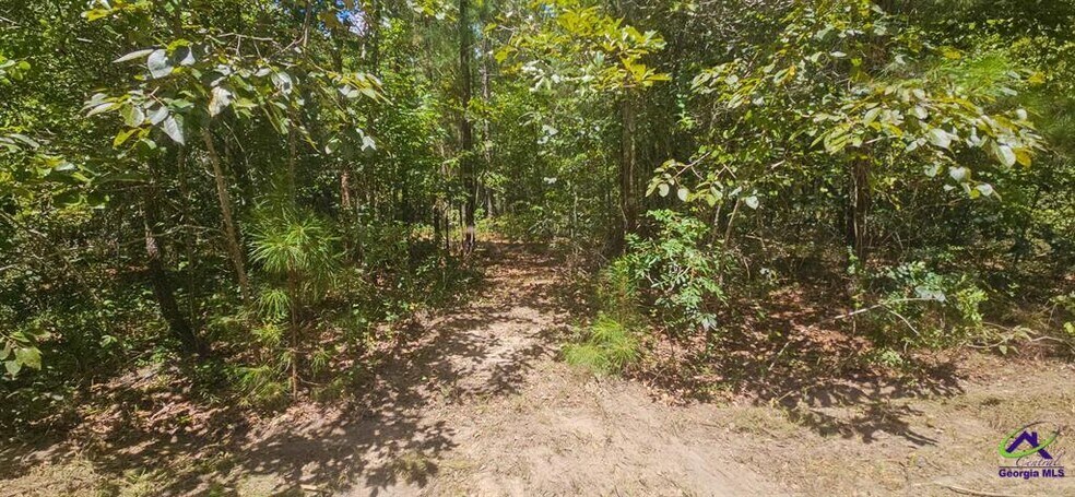 21.20 Acres Priest Road, Vienna, GA à vendre - Autre – Image 3 sur 20