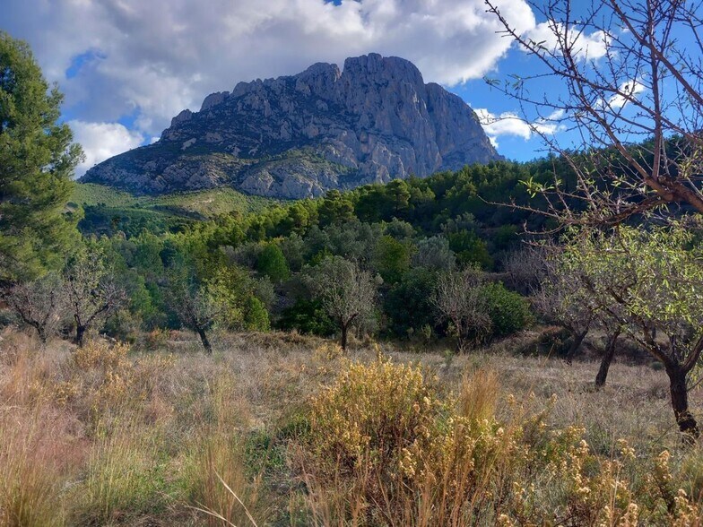 el Realet, S/N, Finestrat, Alicante à vendre - Photo principale – Image 2 sur 25
