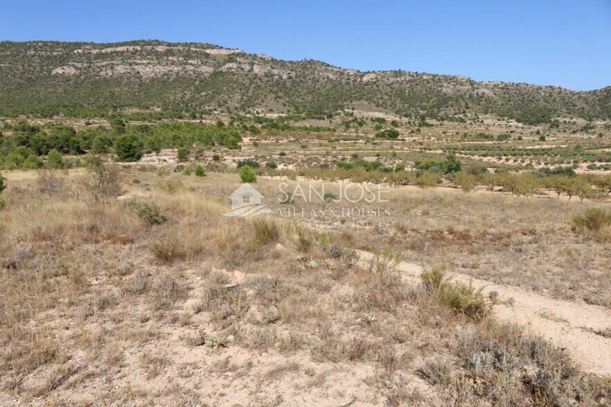 Terrain dans MONÒVER, Alicante à vendre - Photo principale – Image 2 sur 17