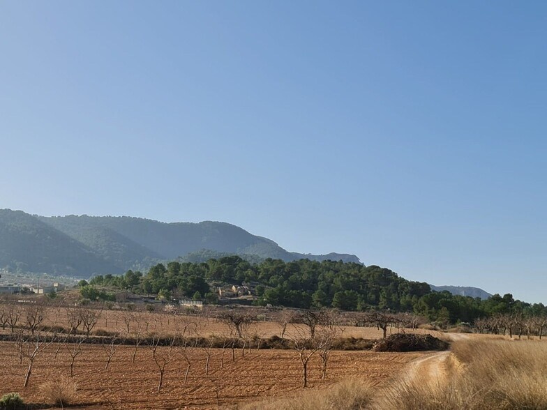 Terrain dans Abanilla, Murcia à vendre - Photo principale – Image 2 sur 12