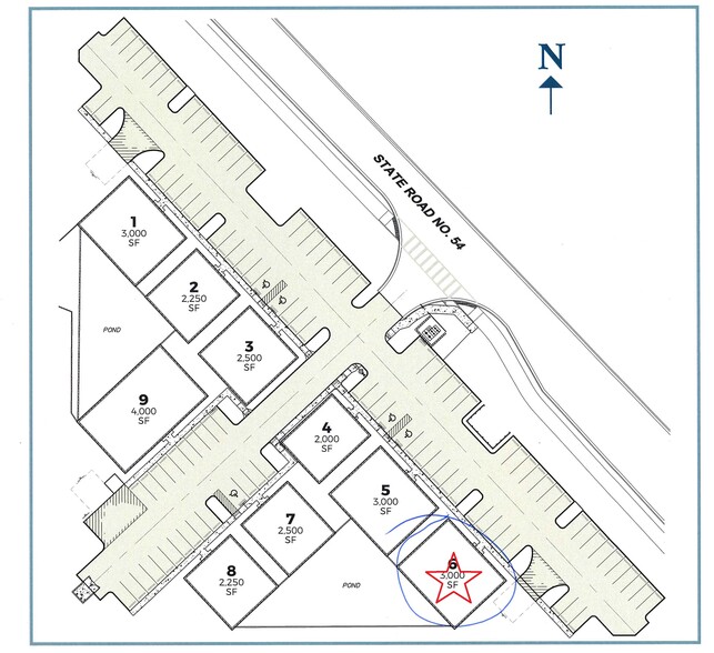 SR 54, Wesley Chapel, FL à louer - Plan de site – Image 2 sur 4