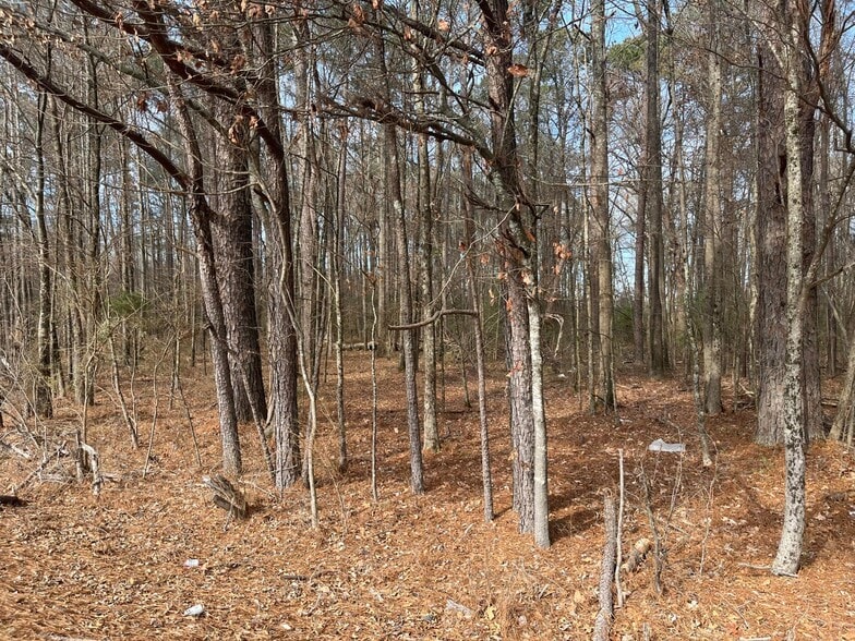 TBD North Veterans Memorial Boulevard +/-14.7 acre Blvd, Tupelo, MS à vendre - Autre – Image 2 sur 10
