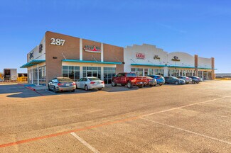Plus de détails pour 287 S Darrington Rd, Horizon City, TX - Local commercial à louer