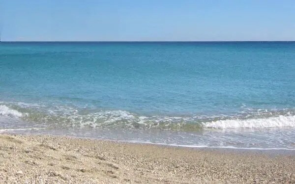 Local commercial dans ARGELES PLAGE à louer Photo de l’immeuble– Image 1 sur 2