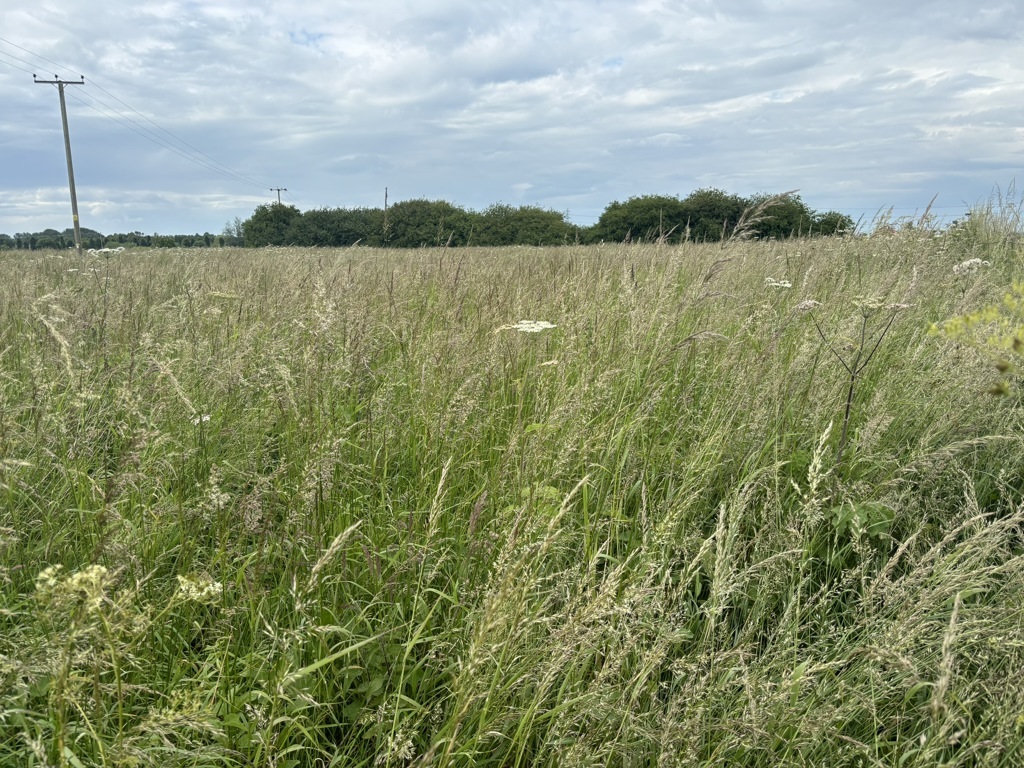 Photo de l’immeuble
