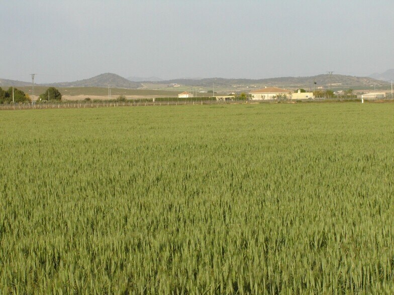 Terrain dans MURCIA à vendre - Aérien – Image 2 sur 3