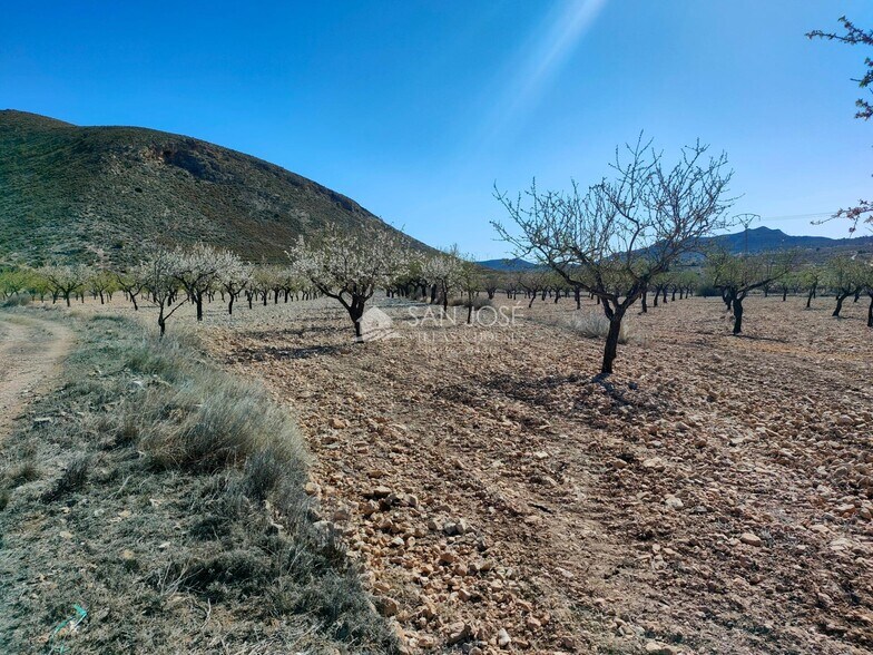 Terrain dans Orihuela, Alicante à vendre - Photo principale – Image 2 sur 11
