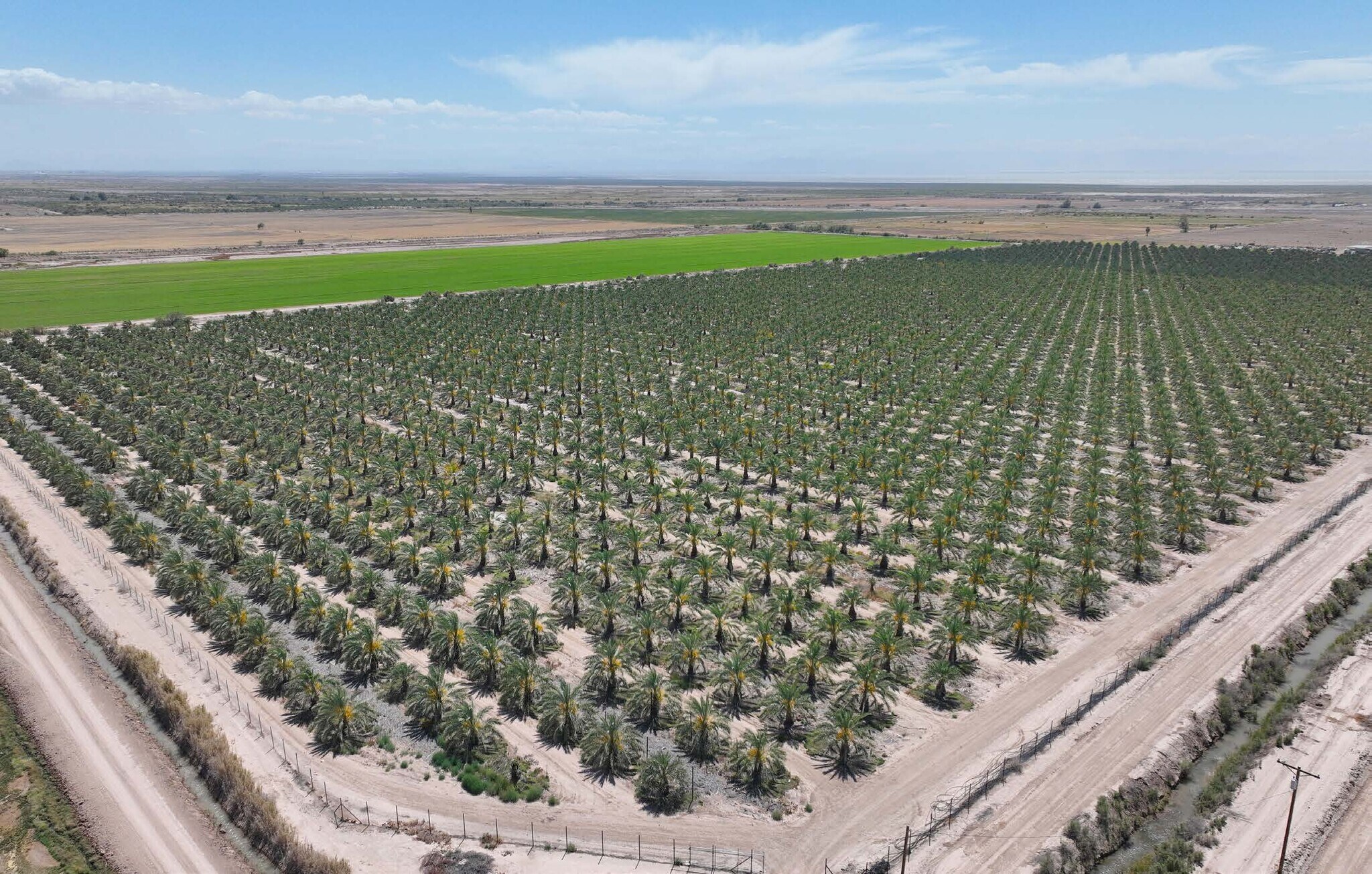 NEC Old English Rd & Hobbs rd, Niland, CA à vendre Photo de l’immeuble– Image 1 sur 7