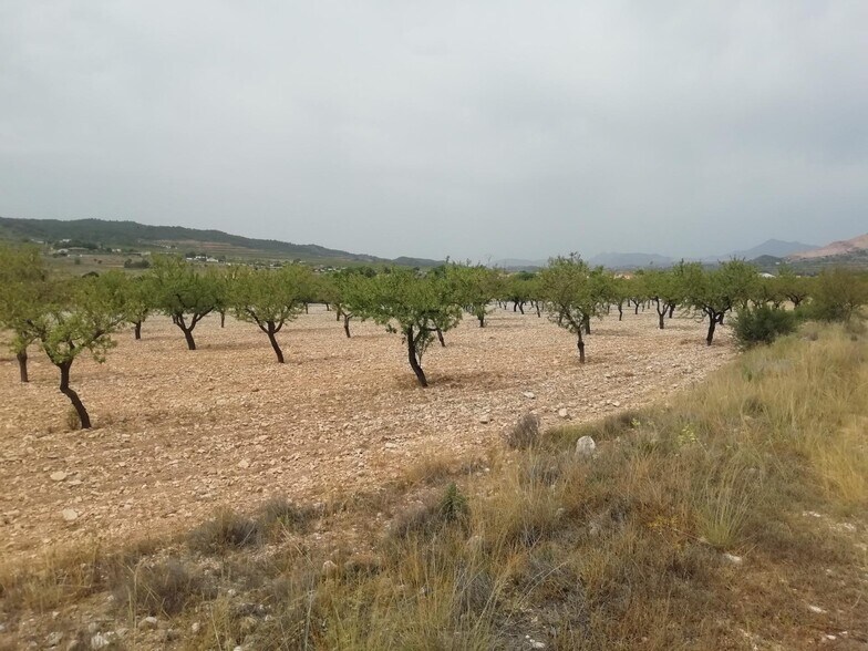 Terrain dans Orihuela, Alicante à vendre - Aérien – Image 1 sur 3