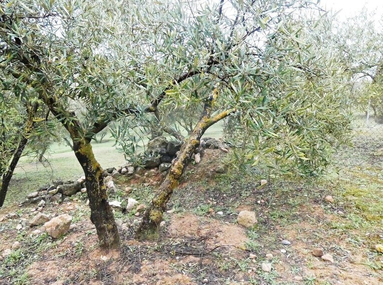 Terrain dans Peligros, Granada à vendre - Photo de l’immeuble – Image 1 sur 22