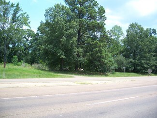 Plus de détails pour 5400 US Hwy 80, Pearl, MS - Terrain à vendre