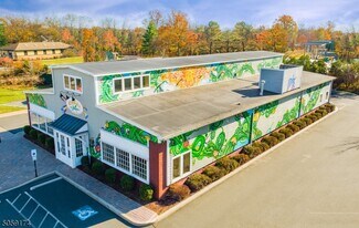 Plus de détails pour 42 State Route 12, Flemington, NJ - Local commercial à vendre