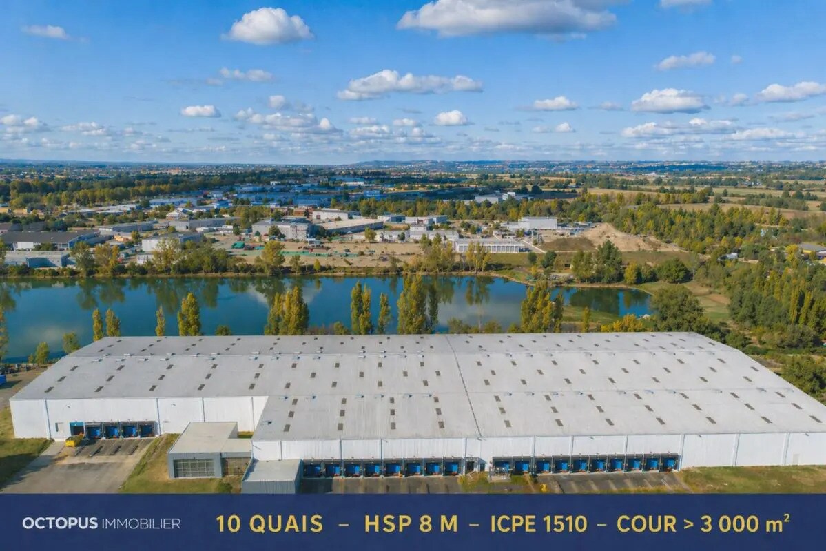 6 Rue Du Bénélux, Lespinasse à louer Aérien– Image 1 sur 17