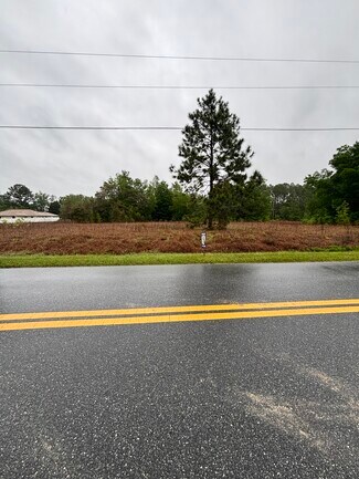 Plus de détails pour 21223 SW Beach Blvd, Dunnellon, FL - Terrain à vendre