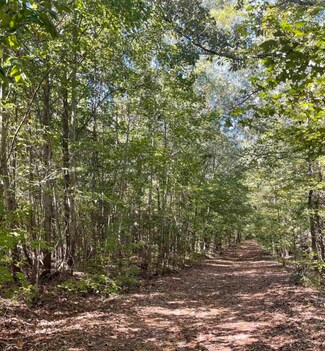 Plus de détails pour 185 Meadow Green Ln, Woodruff, SC - Terrain à vendre