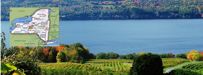 Plus de détails pour 4966 NY-414, Burdett, NY - Spécialisé à vendre