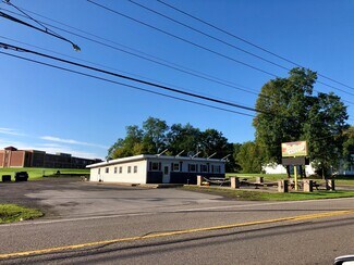 Plus de détails pour 2121 State Route 96, Clifton Springs, NY - Local commercial à vendre