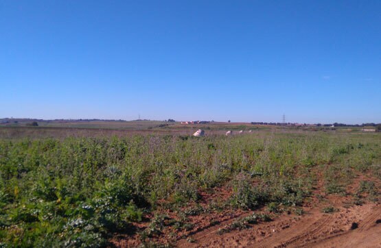 Espaldillas Sunp, I.-11, Alcalá de Guadaíra, Sevilla à vendre Aérien– Image 1 sur 4