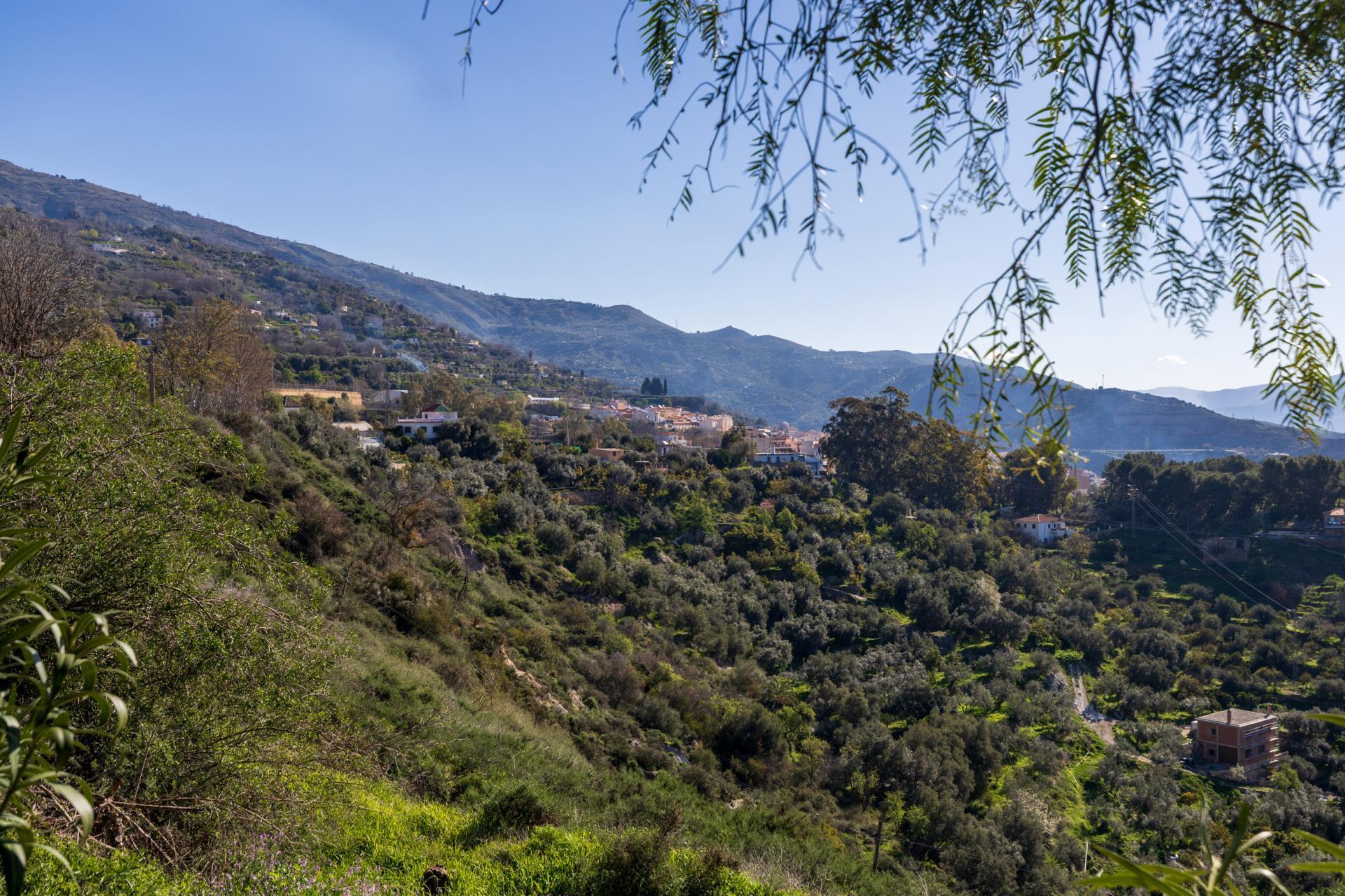 Camino de Vagia Costales Juan Bueno, 9416, Lanjarón, Granada à vendre Photo principale– Image 1 sur 44