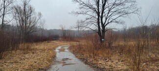 Plus de détails pour 4125 Flint Road, Brighton, MI - Terrain à vendre