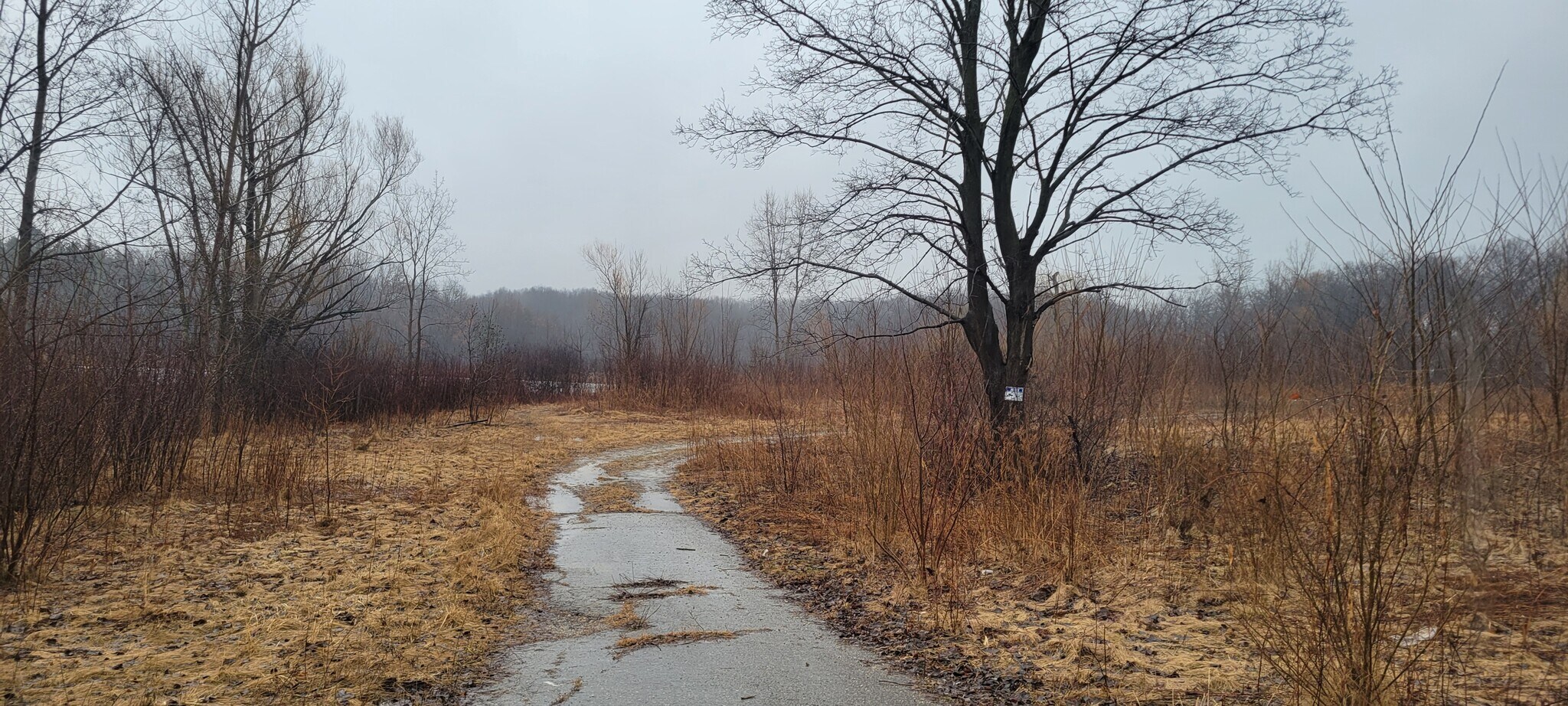 4125 Flint Road, Brighton, MI à vendre Photo principale– Image 1 sur 2