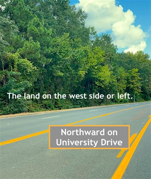 Nouth University Drive, Nacogdoches, TX à vendre - Autre – Image 3 sur 5