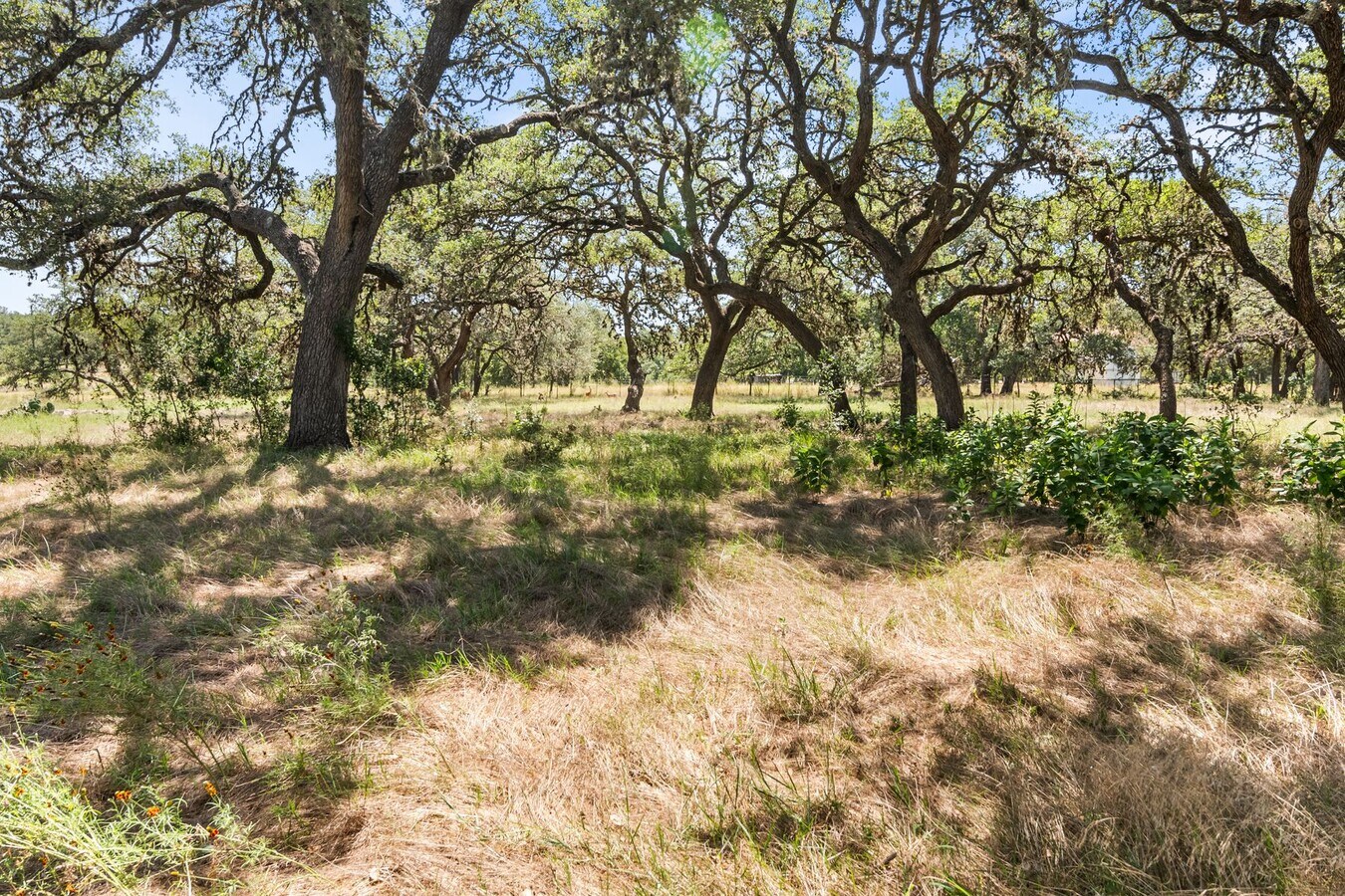 View Photo