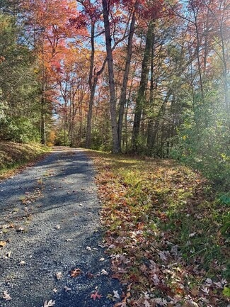 Plus de détails pour 58 Martin Ln, Nallen, WV - Terrain à vendre