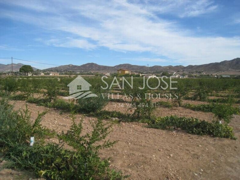 Terrain dans Aspe, Alicante à vendre - Aérien – Image 3 sur 3