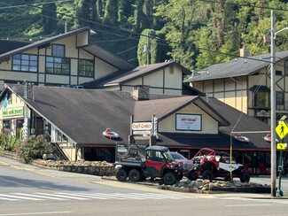 Plus de détails pour 446 E Parkway, Gatlinburg, TN - Bureau à louer