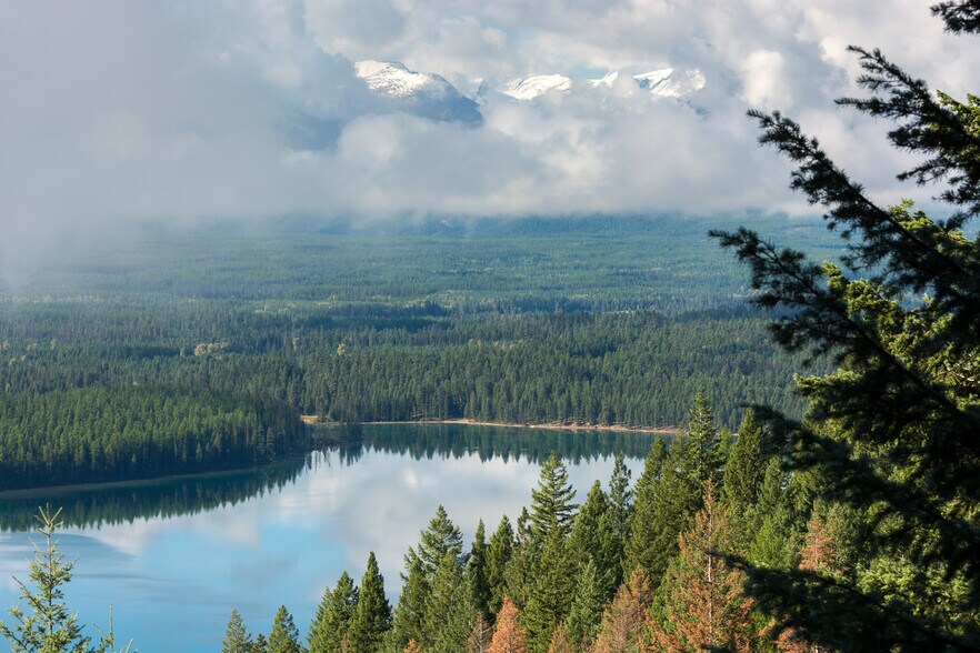 Johnson Creek High Productivity Timberland, Swan Lake, MT à vendre - Autre – Image 3 sur 6