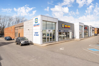 Plus de détails pour 295-297 Av Labrosse, Pointe-claire, QC - Bureau à louer