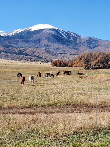 1300 Running Bear Ln, Cotopaxi, CO à vendre - Photo de l’immeuble – Image 3 sur 5
