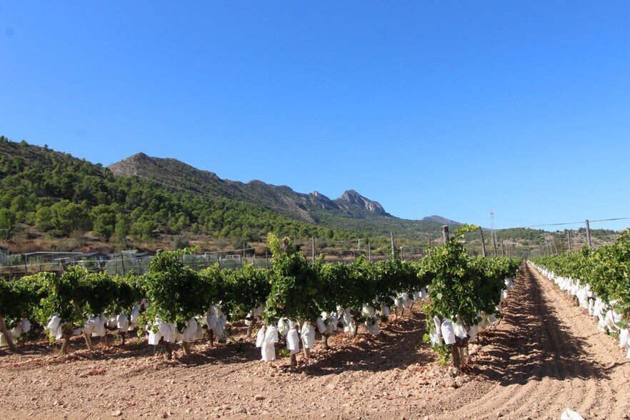 Terrain dans La Romana, Alicante à vendre - Aérien – Image 3 sur 3