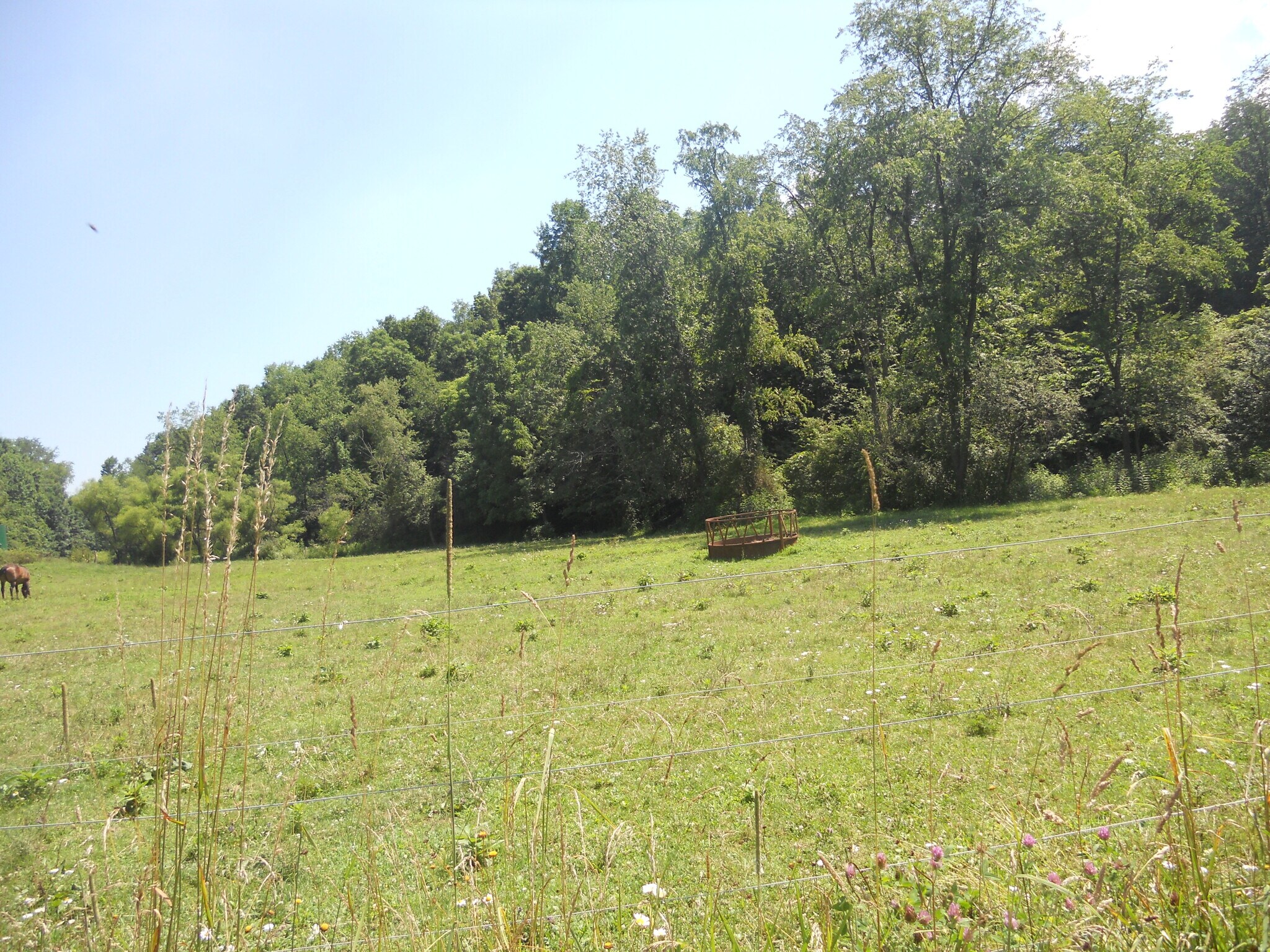 595 Wades Run Rd, Morgantown, WV à vendre Autre– Image 1 sur 25