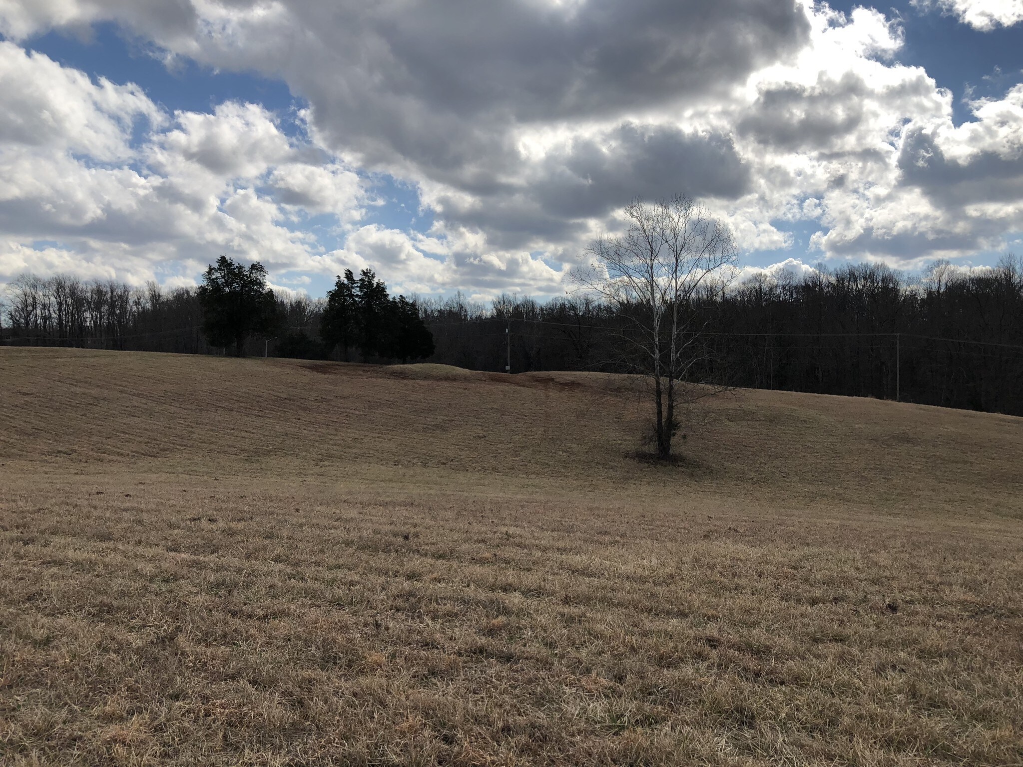 Brockman Park Drive, West & East Commerce St, Amherst, VA à vendre Autre– Image 1 sur 2