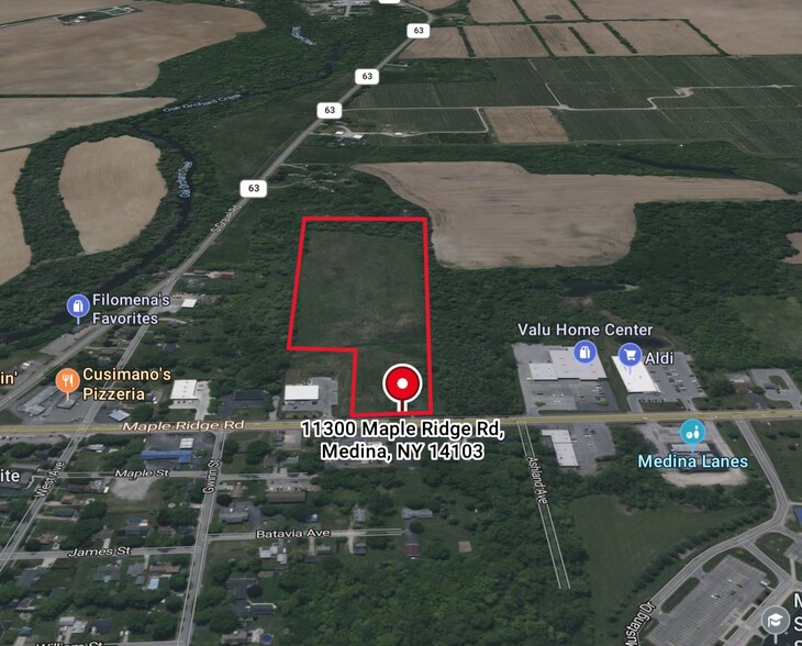 11300 Maple Ridge St, Medina, NY à vendre - Photo de l’immeuble – Image 2 sur 7