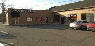 Plus de détails pour 603 W Grand River Ave, Brighton, MI - Local commercial à louer
